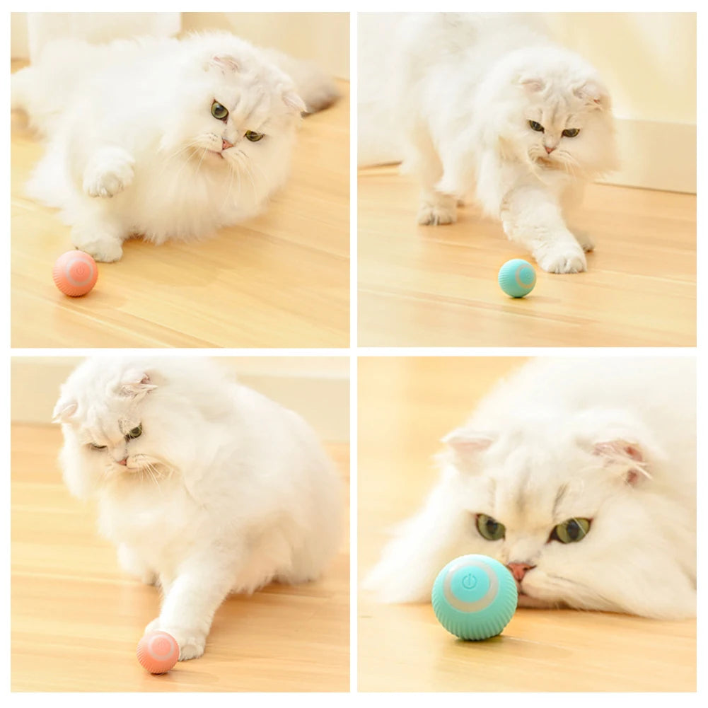 Juguete Bola Inteligente Para Gatos